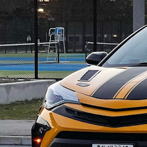 C-HR NGX10