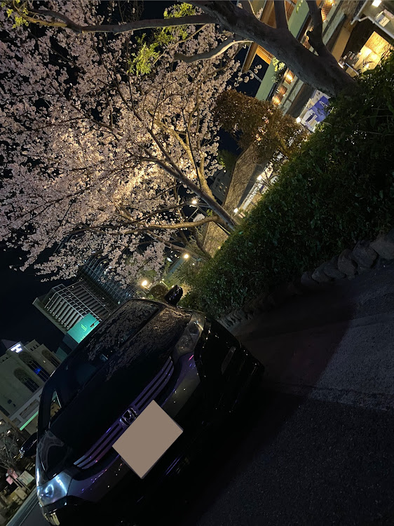 Rさんが投稿した桜とコラボ🌸・サクラと愛車に関するカスタム事例の投稿画像1枚目