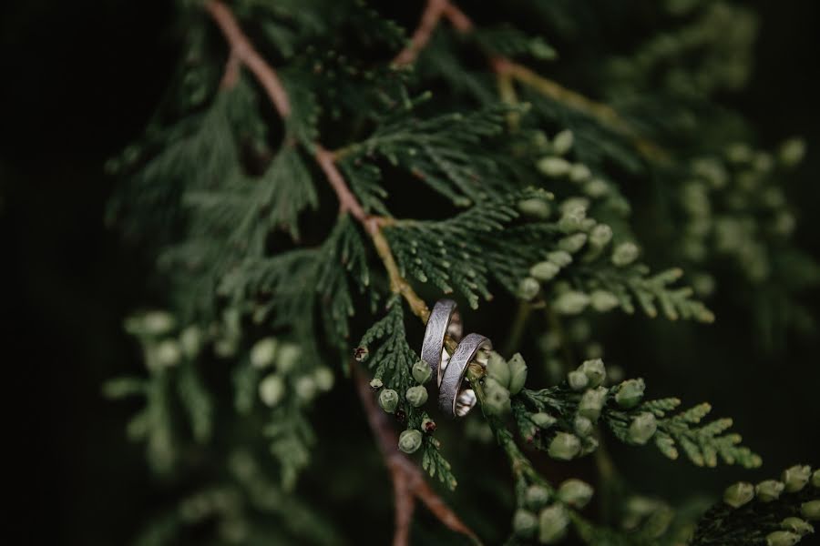 Wedding photographer Alena Iodis (alenaiodis). Photo of 12 October 2022