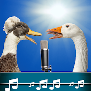 Bird Sound Ringtones  Icon