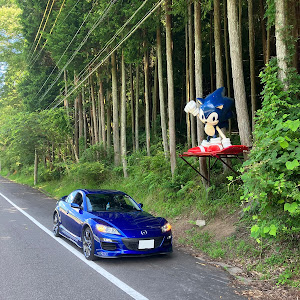 RX-8 SE3P