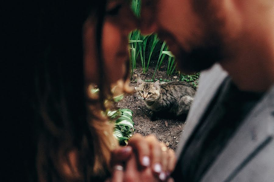 Photographe de mariage Mikhail Savinov (photosavinov). Photo du 6 septembre 2017