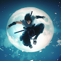 Shadow Knight: Ninja Fighting