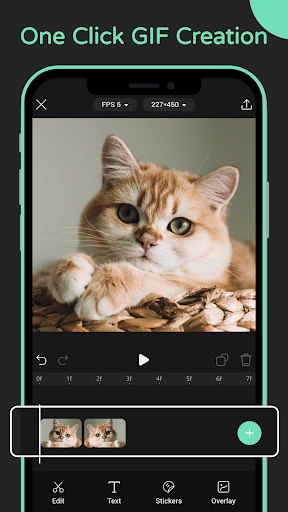 Screenshot GIF Maker Pro