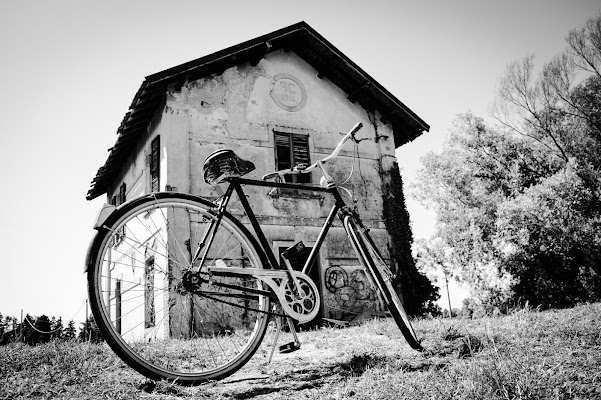 assenza e trascuratezza di simoscordino