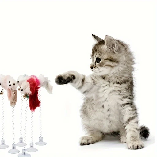 Pet cat toy, suction cup, spring, bell, mouse, self indulgent, playful cat toy