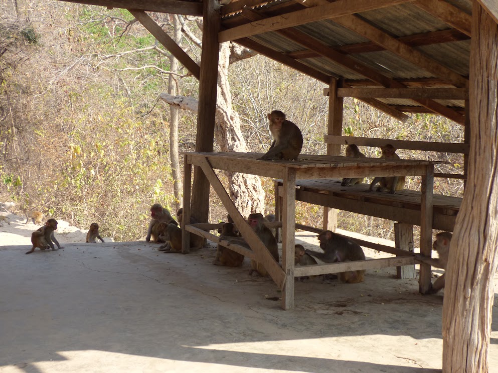 hpo win daung caves - monywa