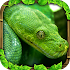 Snake Simulator1.5 (Paid)