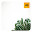 Cactus Wallpaper HD New Tab Theme©