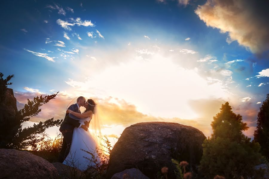 Photographe de mariage Andrey Tolok (andronviii). Photo du 24 mars 2019