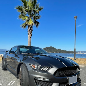 シェルビー GT350