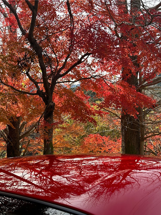 S2000の33号車・AP2・紅葉🍁ドライブに関するカスタム事例の投稿画像2枚目