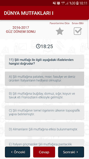 Anadolu AÖS Sorular