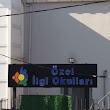 Özel ilgi Okulları