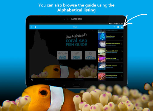 免費下載書籍APP|Coral Sea Fish Guide app開箱文|APP開箱王