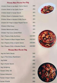 Anubhav Spice menu 4