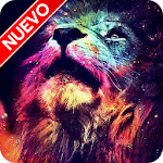 León Fondos de Pantalla Apk