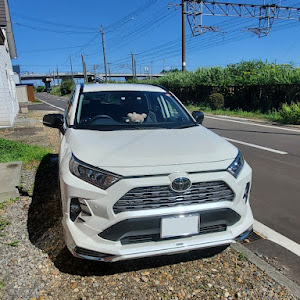 RAV4 MXAA54