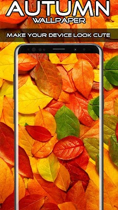 秋の壁紙hd 4k Androidアプリ Applion