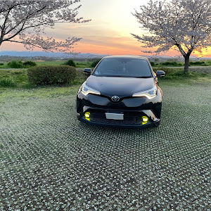 C-HR ZYX10