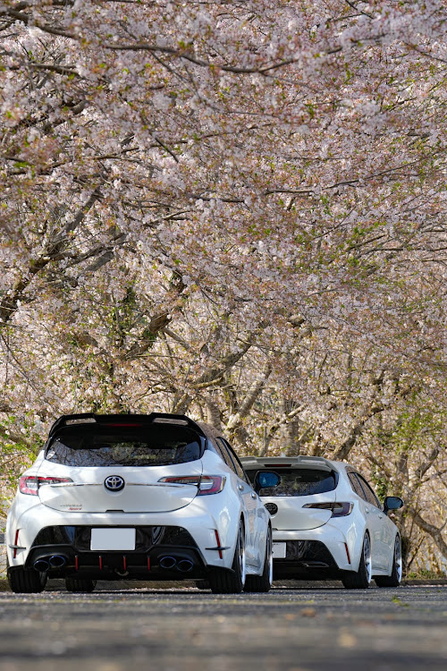 カローラスポーツの兵庫県豊岡市・ふらっとドライブ・桜とコラボに関するカスタム事例の投稿画像2枚目