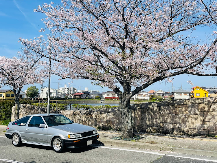 の投稿画像2枚目