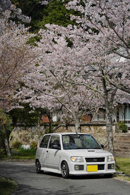 の投稿画像3枚目