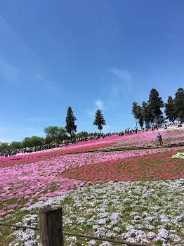 「かわいい」のメインビジュアル