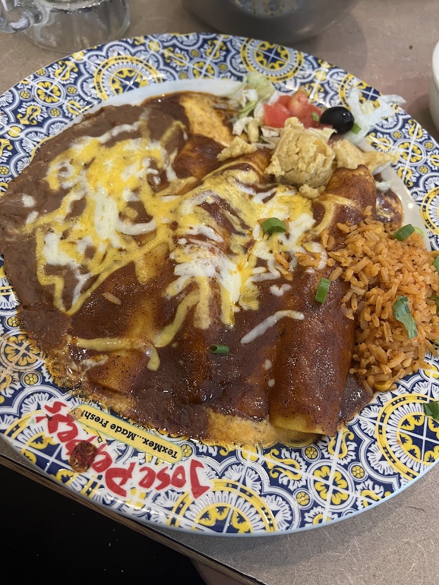 Chicken enchiladas