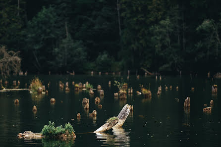 Wedding photographer Denis Efimenko (degalier). Photo of 18 September 2017