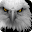 Eagle Wallpaper Download on Windows