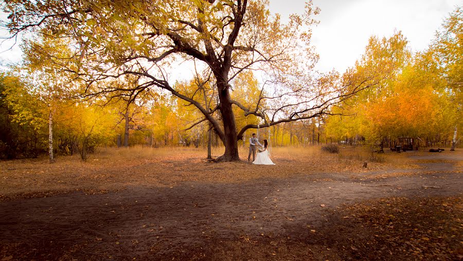 Wedding photographer Mariya Strelkova (mywind). Photo of 13 November 2014