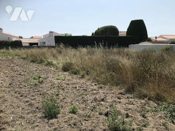 terrain à batir à La Guérinière (85)