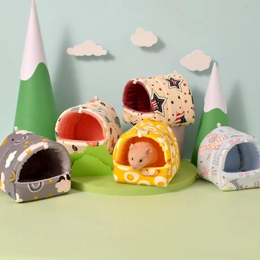 images slider number - 5