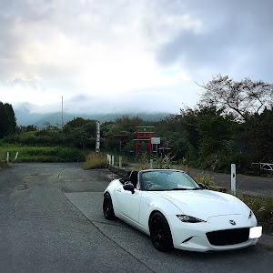 ロードスター ND5RC