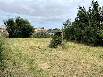 terrain à Blaye (33)