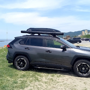 RAV4 MXAA54