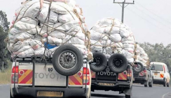 Miraa pick-ups ferry the herb to different destinations