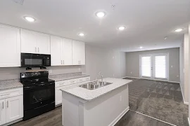 Open floorplan kitchen and living areas with carpet and wood-inspired flooring