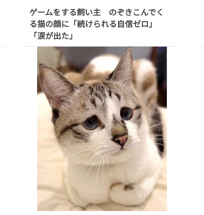 マスターアジアさんが投稿した汚車・気になった記事・マクド・天丼・イラストの参考にに関するカスタム事例の投稿画像12枚目