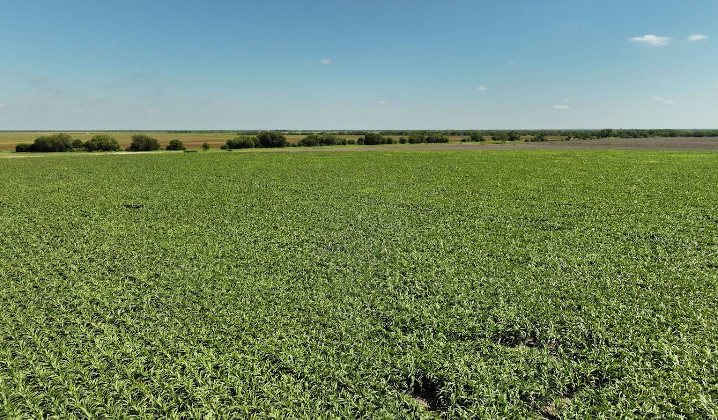 Corps de ferme La Pryor