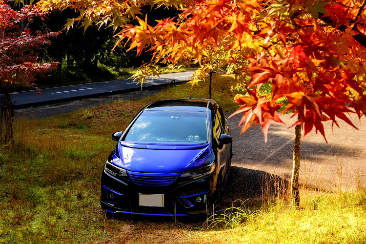 フィットの室生もみじ公園・紅葉コラボ・紅葉と愛車・紅葉狩り🍁🍂に関するカスタム事例の投稿画像9枚目