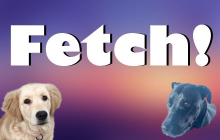 Fetch! Preview image 0