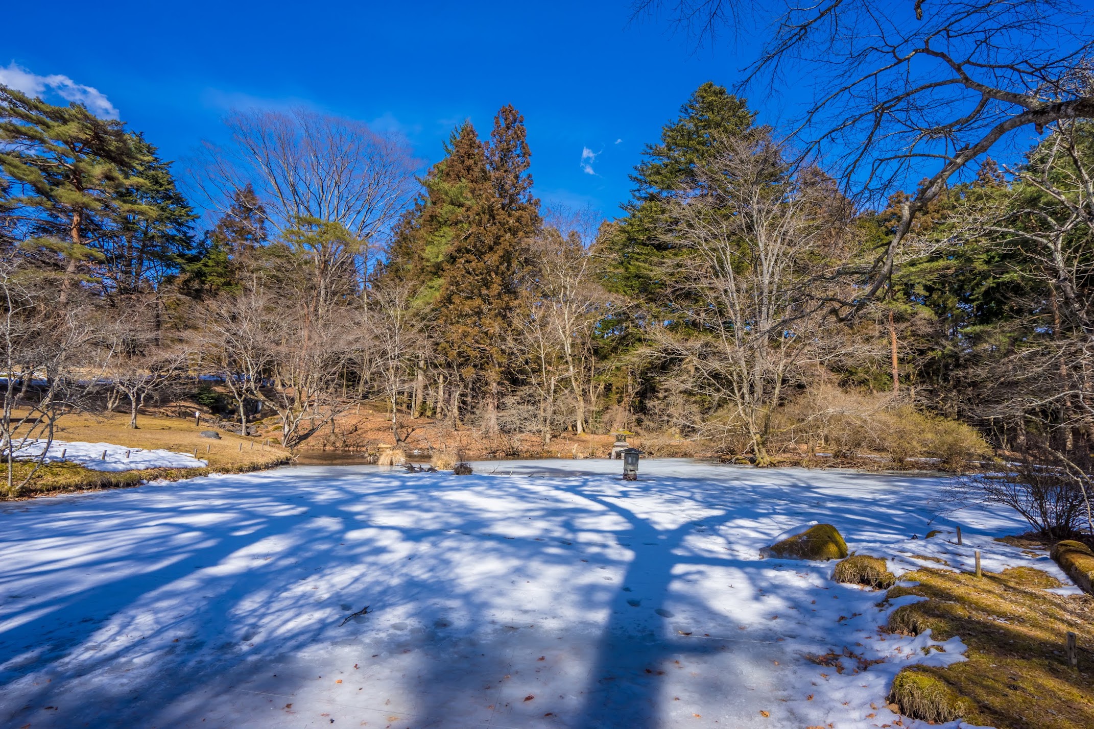 Nikko Matsuyashiki1