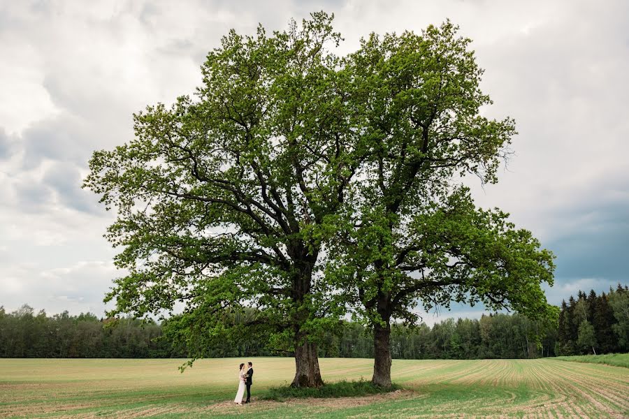 Fotografo di matrimoni Aleksandr Karpovich (karpovich). Foto del 6 giugno 2016