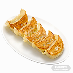 Vege Gyoza