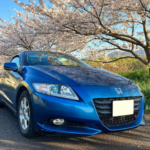 CR-Z ZF1