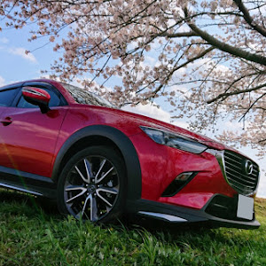 CX-3 DK5FW