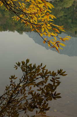 Riflessi .. di gimatteo