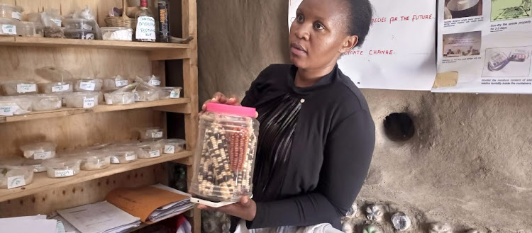 Julia Kamau, Head of Programmes Gender & Agroecology Markets at Seed Savers Network, Kenya ,displays indigenous maize seeds. during a presentation. She was the lead facilitator during the three-day tour of the Somalian team.